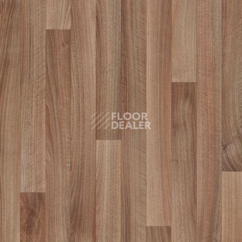 Линолеум Forbo Eternal Wood 10232 dark walnut фото 1 | FLOORDEALER